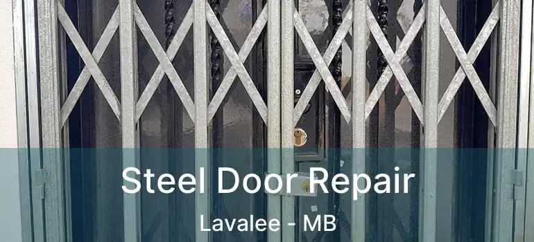  Steel Door Repair Lavalee - MB