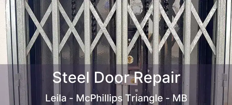  Steel Door Repair Leila - McPhillips Triangle - MB