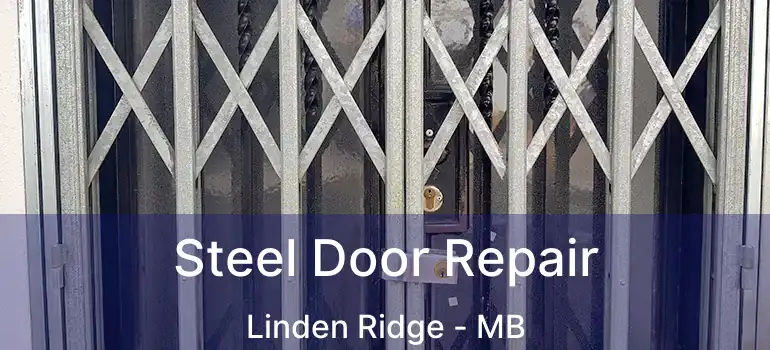  Steel Door Repair Linden Ridge - MB