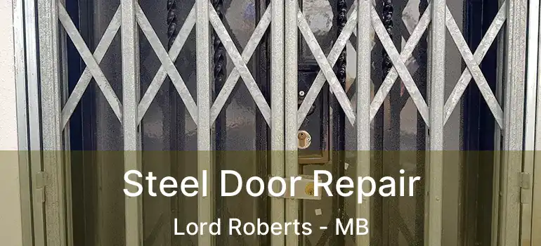  Steel Door Repair Lord Roberts - MB