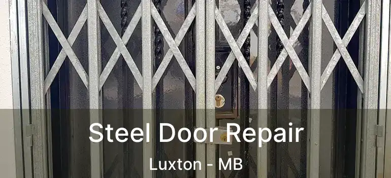  Steel Door Repair Luxton - MB