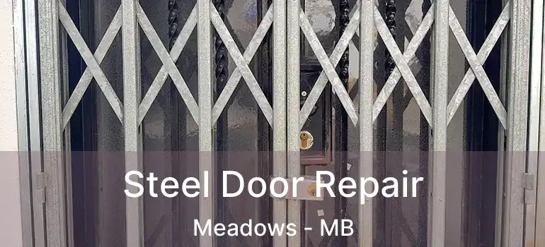  Steel Door Repair Meadows - MB