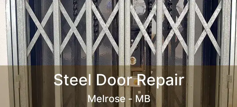  Steel Door Repair Melrose - MB