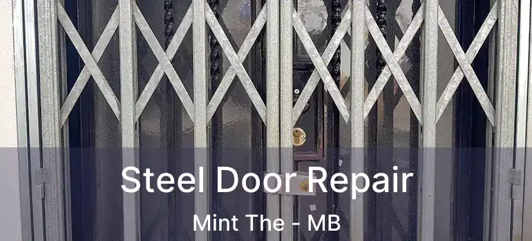  Steel Door Repair Mint The - MB