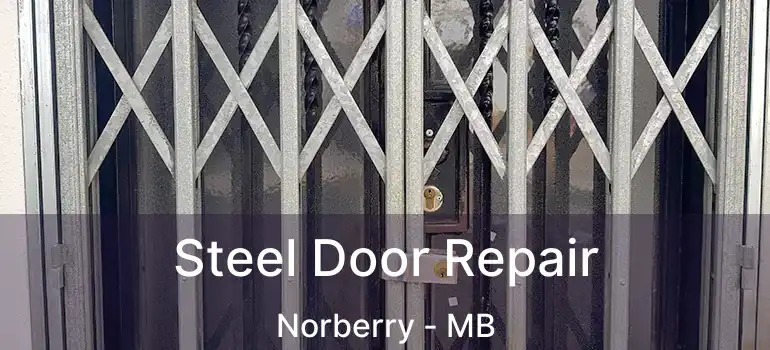  Steel Door Repair Norberry - MB
