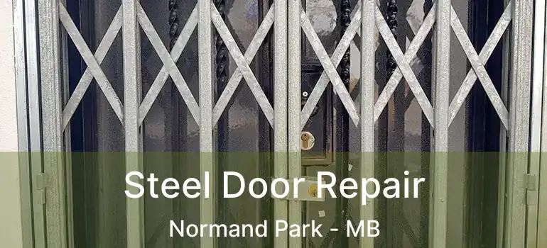  Steel Door Repair Normand Park - MB