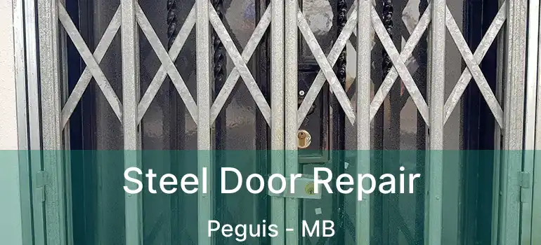  Steel Door Repair Peguis - MB