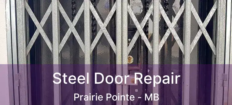 Steel Door Repair Prairie Pointe - MB