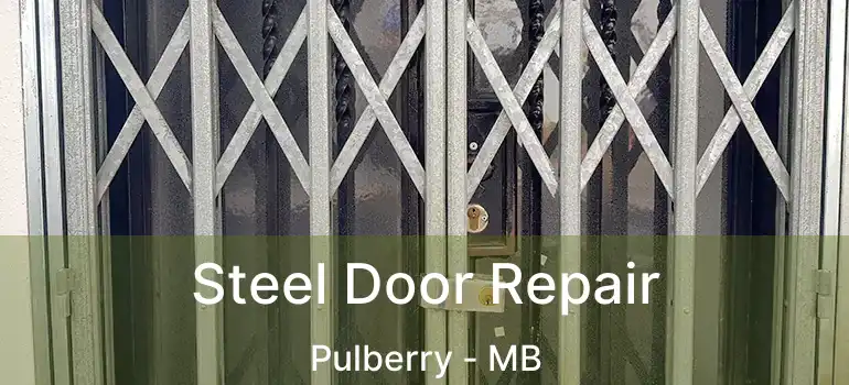  Steel Door Repair Pulberry - MB