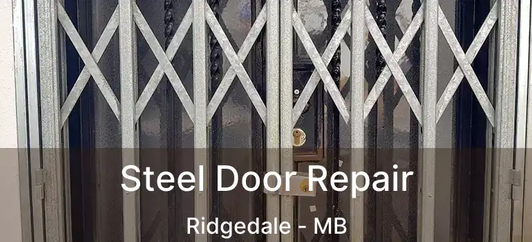  Steel Door Repair Ridgedale - MB
