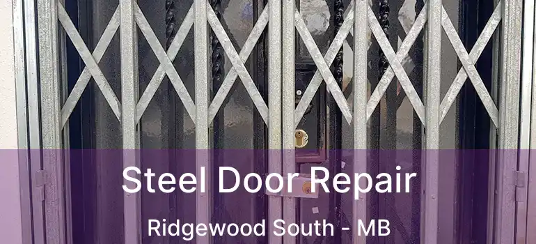  Steel Door Repair Ridgewood South - MB