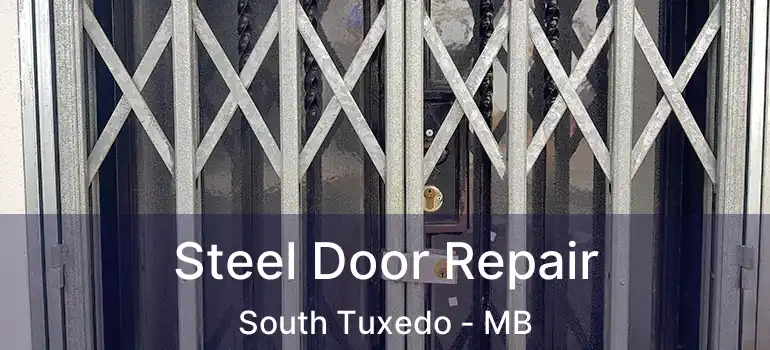  Steel Door Repair South Tuxedo - MB