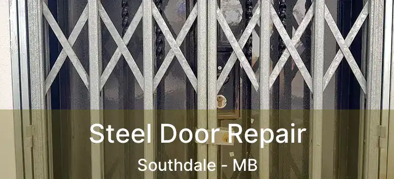  Steel Door Repair Southdale - MB