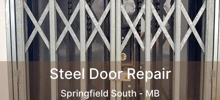  Steel Door Repair Springfield South - MB