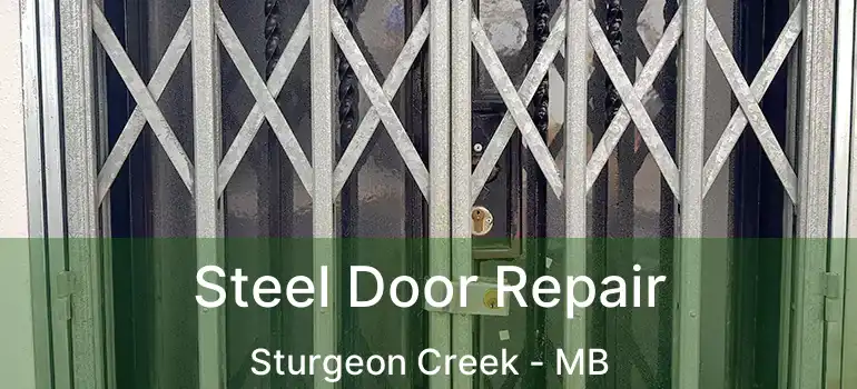  Steel Door Repair Sturgeon Creek - MB