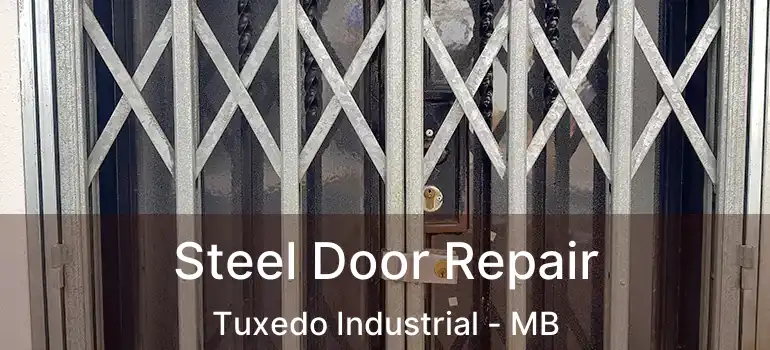  Steel Door Repair Tuxedo Industrial - MB