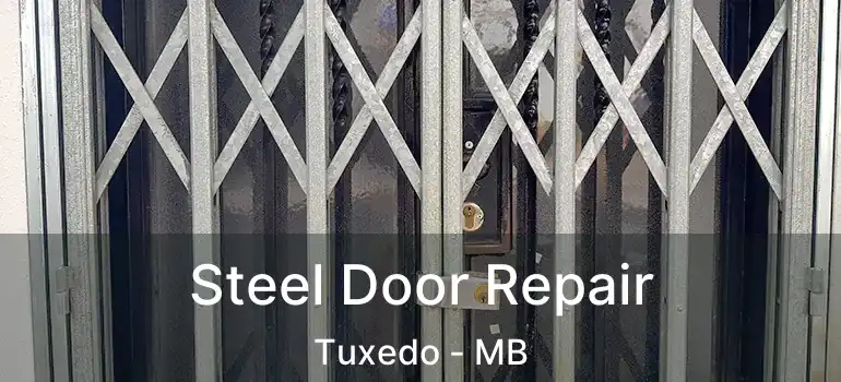  Steel Door Repair Tuxedo - MB