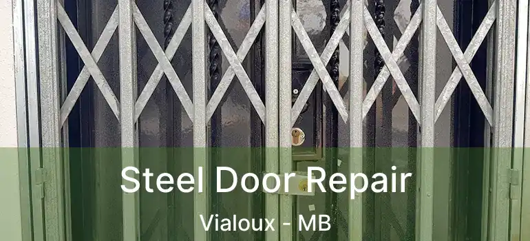  Steel Door Repair Vialoux - MB