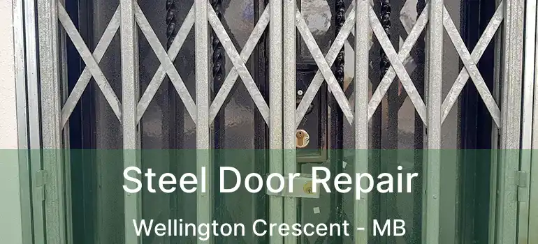  Steel Door Repair Wellington Crescent - MB