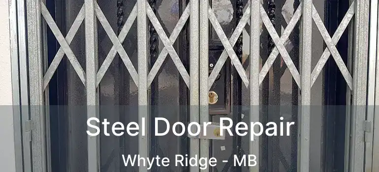  Steel Door Repair Whyte Ridge - MB