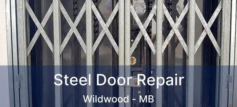  Steel Door Repair Wildwood - MB