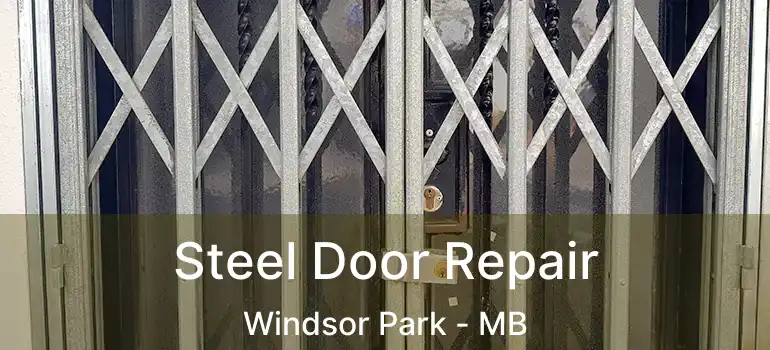  Steel Door Repair Windsor Park - MB