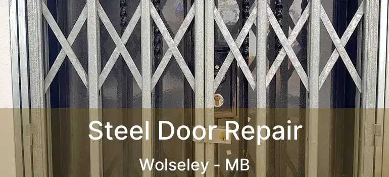  Steel Door Repair Wolseley - MB