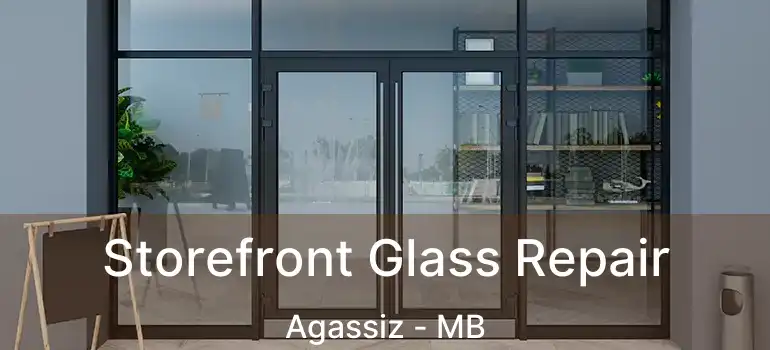  Storefront Glass Repair Agassiz - MB