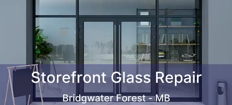  Storefront Glass Repair Bridgwater Forest - MB