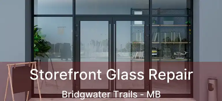  Storefront Glass Repair Bridgwater Trails - MB