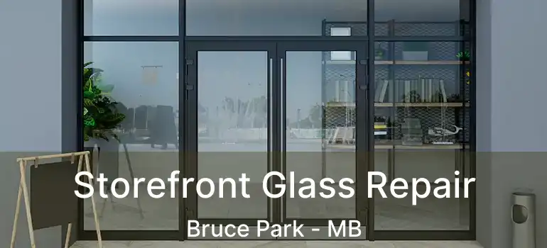  Storefront Glass Repair Bruce Park - MB