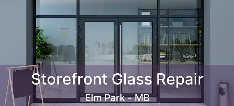  Storefront Glass Repair Elm Park - MB