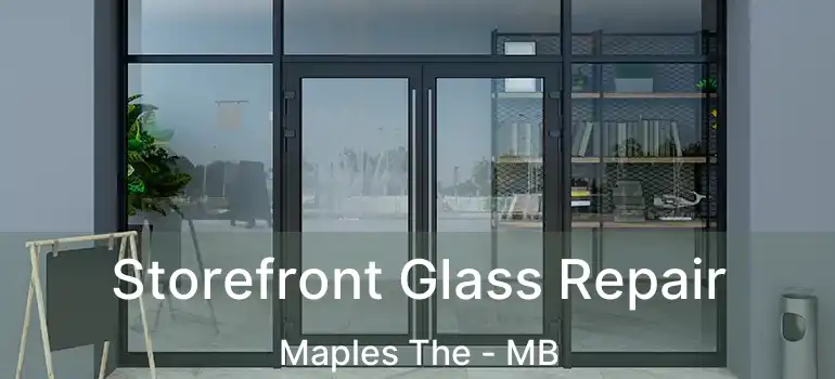  Storefront Glass Repair Maples The - MB