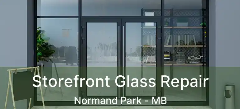  Storefront Glass Repair Normand Park - MB