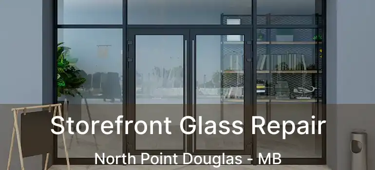  Storefront Glass Repair North Point Douglas - MB