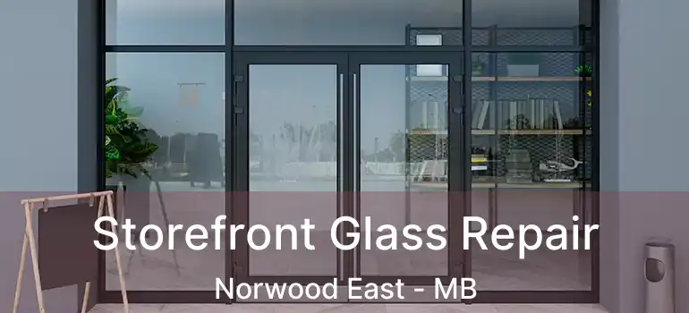  Storefront Glass Repair Norwood East - MB
