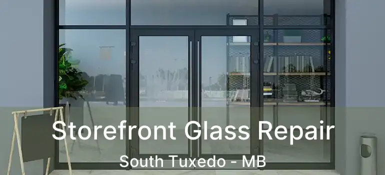  Storefront Glass Repair South Tuxedo - MB