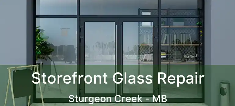  Storefront Glass Repair Sturgeon Creek - MB