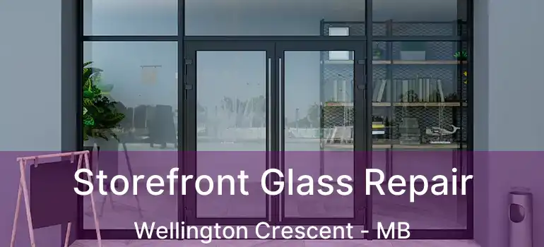  Storefront Glass Repair Wellington Crescent - MB
