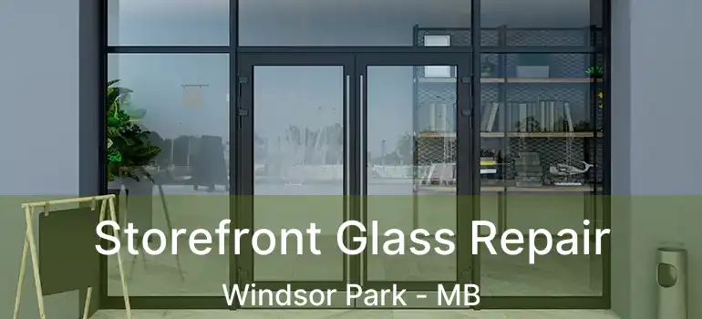  Storefront Glass Repair Windsor Park - MB