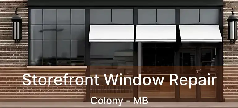  Storefront Window Repair Colony - MB
