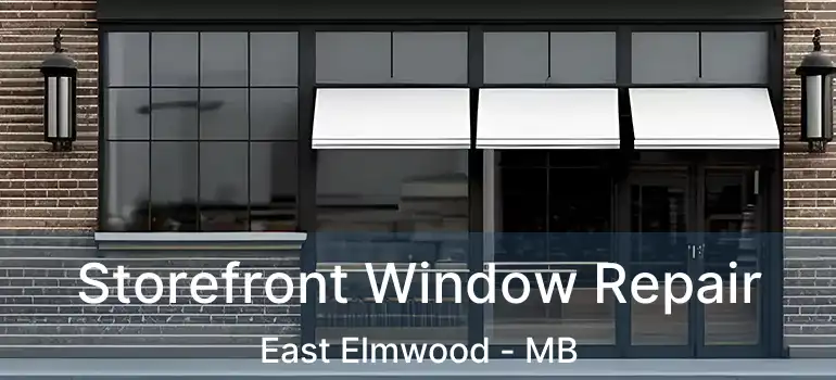  Storefront Window Repair East Elmwood - MB