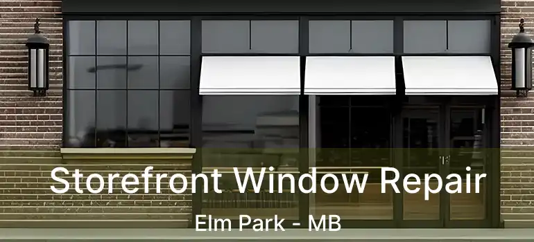  Storefront Window Repair Elm Park - MB