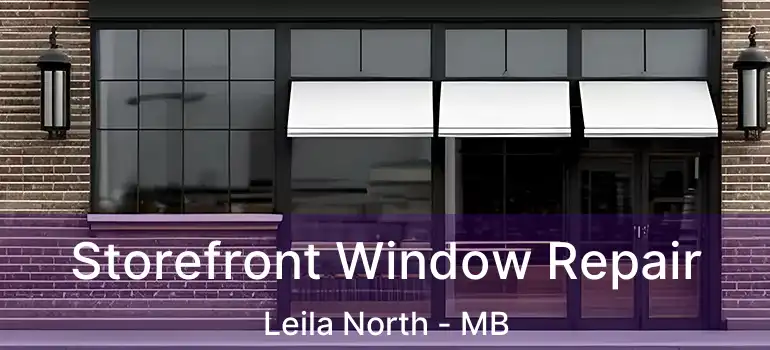  Storefront Window Repair Leila North - MB