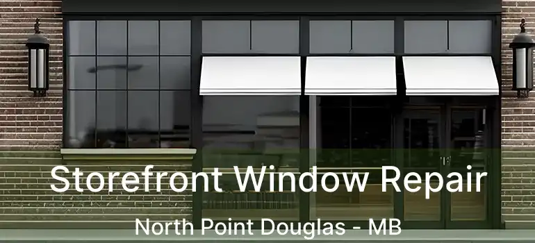  Storefront Window Repair North Point Douglas - MB