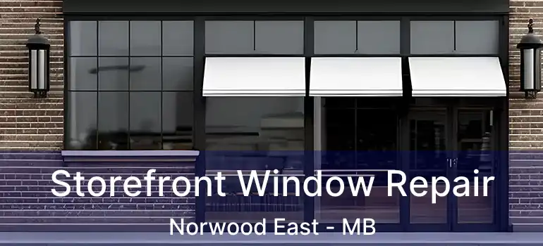  Storefront Window Repair Norwood East - MB