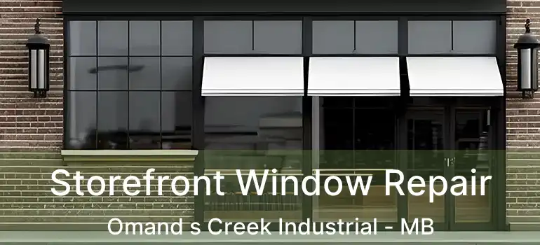  Storefront Window Repair Omand s Creek Industrial - MB