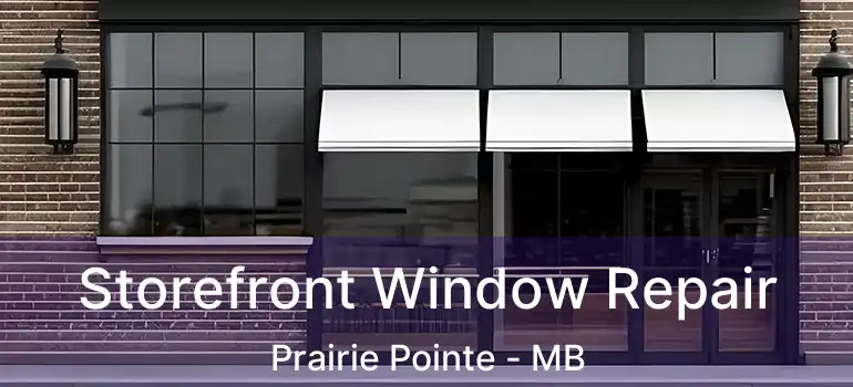  Storefront Window Repair Prairie Pointe - MB