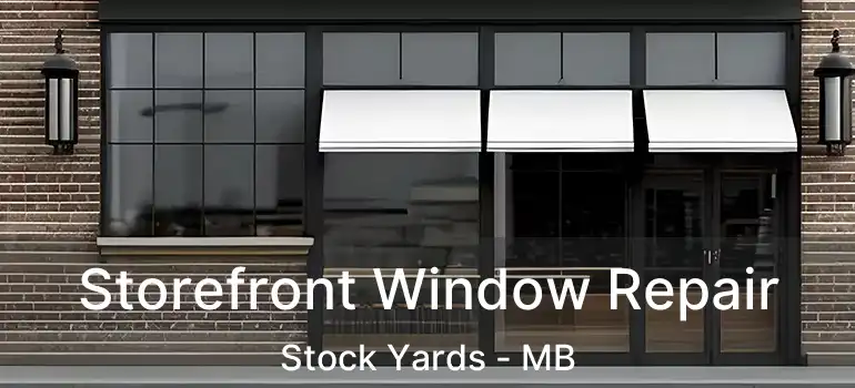  Storefront Window Repair Stock Yards - MB