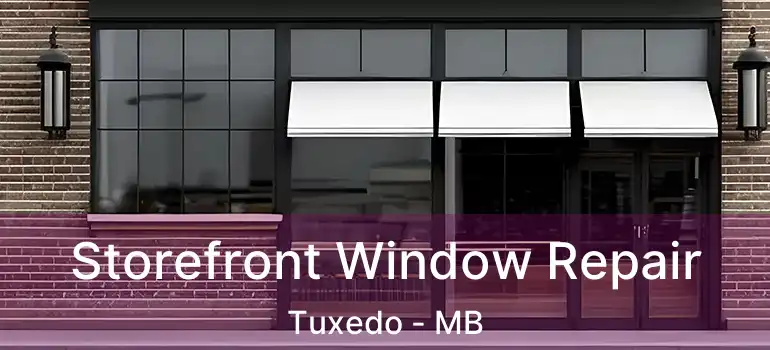  Storefront Window Repair Tuxedo - MB